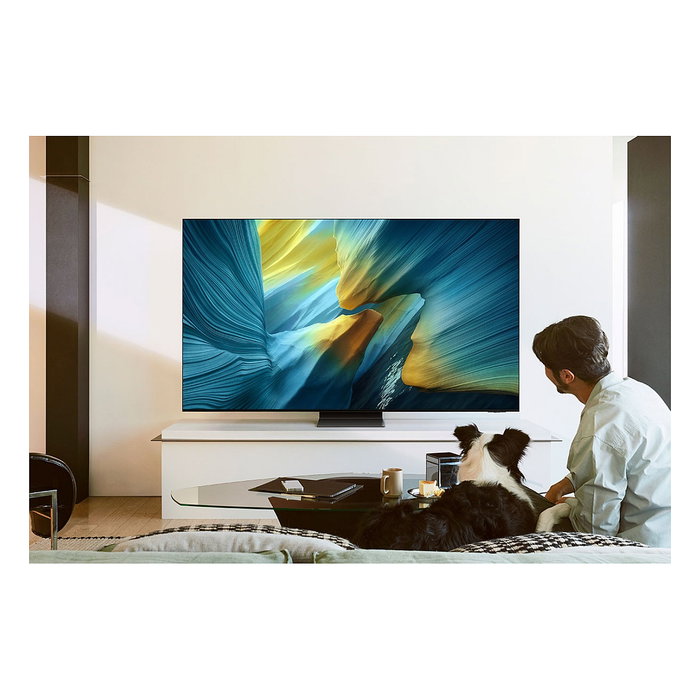 Samsung GQ55S95FAT 55" (139.7cm) OLED Smart TV 4K Ultra HD 144Hz 100/165Hz, HDR10+, Dolby Atmos, 4xHDMI 2.1, Tizen, Wi-Fi 5, Negro Titanio