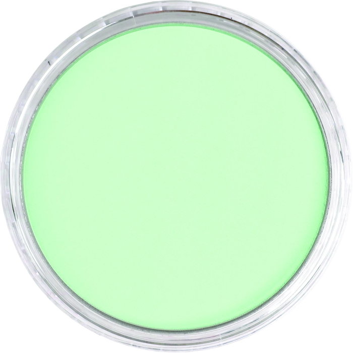 Panpastel 640.8 Tinte Verde Permanent Panpastel 640.8 Tinte Verde Permanent