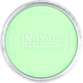 Panpastel 640.8 Tinte Verde Permanent