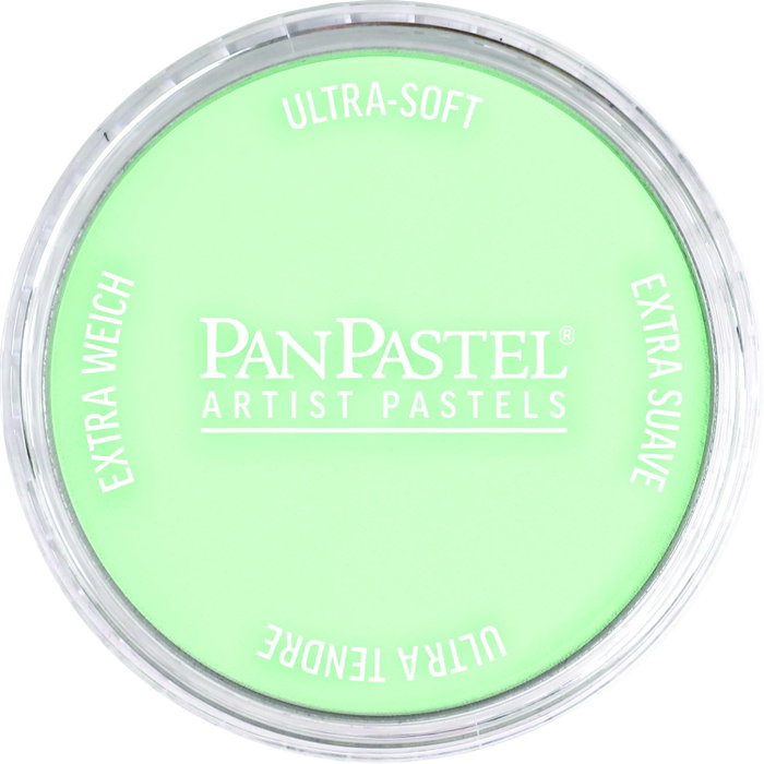 Panpastel 640.8 Tinte Verde Permanent Panpastel 640.8 Tinte Verde Permanent