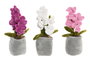DKD Home Decor Peluche Blanco Fucsia Poliester 10 x 24 x 15 cm (6 Unidades)