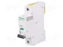 SCHNEIDER ELECTRIC Interruptor magnetotérmico iC60H 1P 2A Curva C