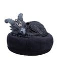Nemesis Now Cult Cuties Figura Lucifly Dreams Nemesis Now Cult Cuties Figura Lucifly Dreams