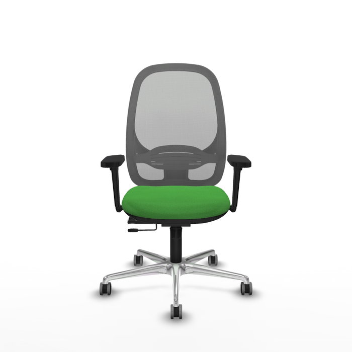 PIQUERAS Y CRESPO Silla de oficina Cilanco con mecanismo Sincro/Traslack, Verde y Gris PIQUERAS Y CRESPO Silla de oficina Cilanco con mecanismo Sincro/Traslack, Verde y Gris