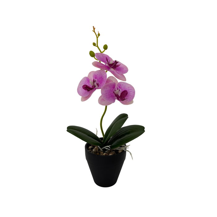 Versa Flor Orquidea Surtida con Maceta 9x8x31.5 cm (6 Unidades)