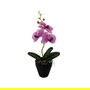 Versa Flor Orquidea Surtida con Maceta 9x8x31.5 cm (6 Unidades)