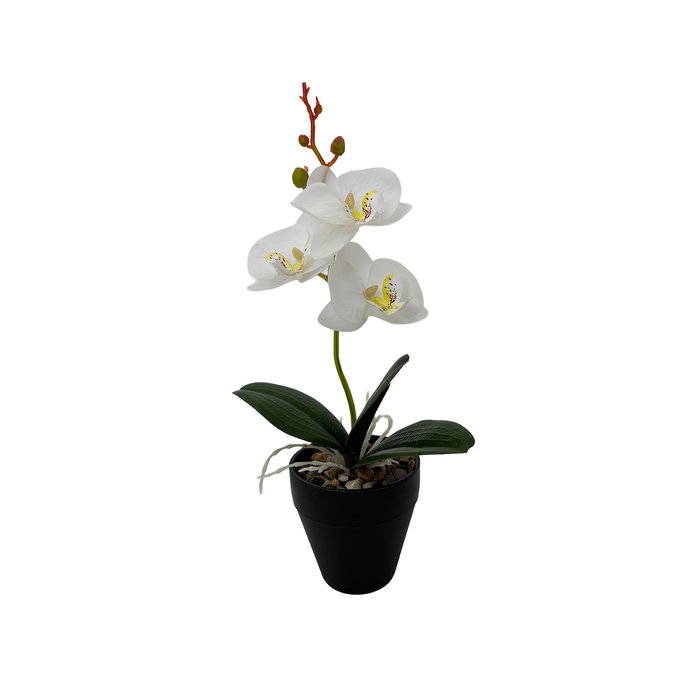 Versa Flor Orquidea Surtida con Maceta 9x8x31.5 cm (6 Unidades)