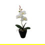 Versa Flor Orquidea Surtida con Maceta 9x8x31.5 cm (6 Unidades)