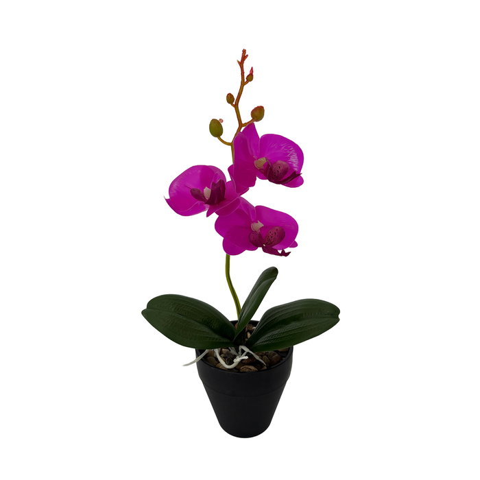 Versa Flor Orquidea Surtida con Maceta 9x8x31.5 cm (6 Unidades)
