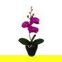 Versa Flor Orquidea Surtida con Maceta 9x8x31.5 cm (6 Unidades)