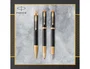 Parker IM Premium Black Gold punta fina negra
