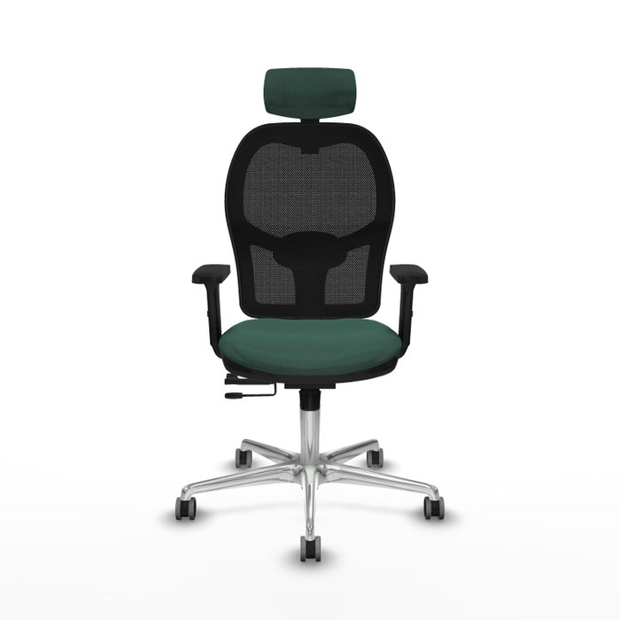 PIQUERAS Y CRESPO Silla de oficina Jorquera con Mecanismo Sincro/Traslack Verde botella PIQUERAS Y CRESPO Silla de oficina Jorquera con Mecanismo Sincro/Traslack Verde botella