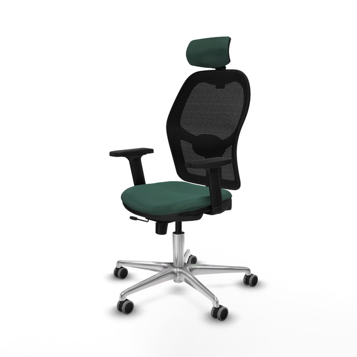 PIQUERAS Y CRESPO Silla de oficina Jorquera con Mecanismo Sincro/Traslack Verde botella PIQUERAS Y CRESPO Silla de oficina Jorquera con Mecanismo Sincro/Traslack Verde botella