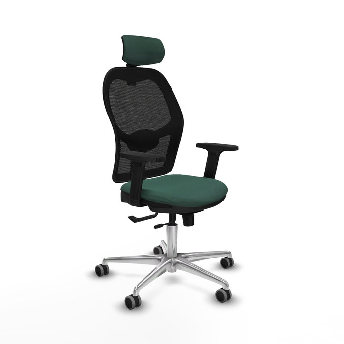 PIQUERAS Y CRESPO Silla de oficina Jorquera con Mecanismo Sincro/Traslack Verde botella PIQUERAS Y CRESPO Silla de oficina Jorquera con Mecanismo Sincro/Traslack Verde botella