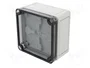 SPELSBERG TK PC 1111-7-TO Carcasa Universal de Policarbonato Gris