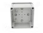 SPELSBERG TK PC 1111-7-TO Carcasa Universal de Policarbonato Gris