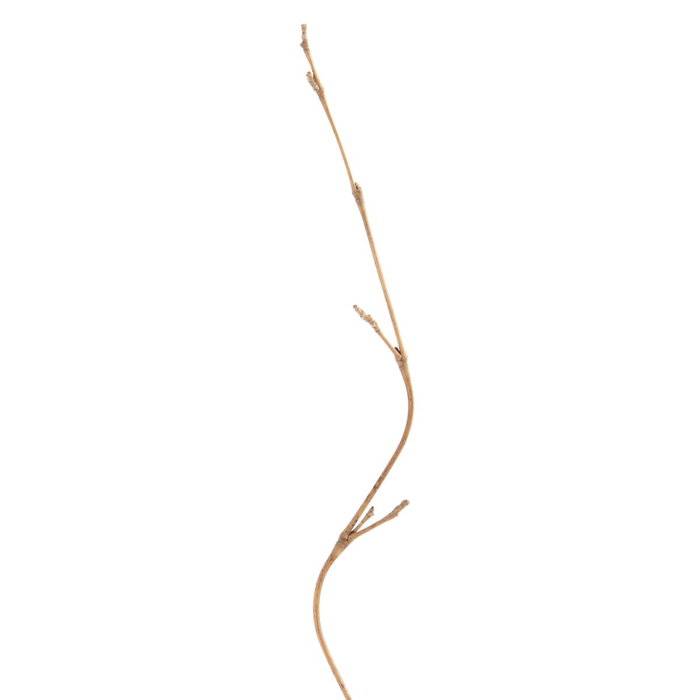 Ixia Rama Crema Fibra Natural Decoración 5 x 0,50 x 190 cm