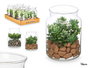 Ibergarden Tarro Cristal Planta Surtidos Mod 12 cm x 16 cm x 12 cm (Set de 12)