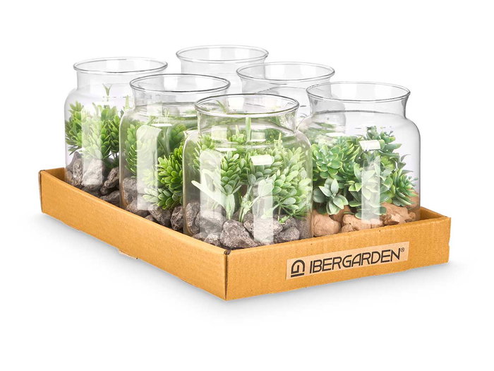 Ibergarden Tarro Cristal Planta Surtidos Mod 12 cm x 16 cm x 12 cm (Set de 12)