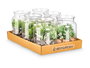 Ibergarden Tarro Cristal Planta Surtidos Mod 12 cm x 16 cm x 12 cm (Set de 12)