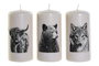 DKD Home Decor Vela de Cera de Parafina 7x7x13,5 con Motivos de Animales Surtido de 3