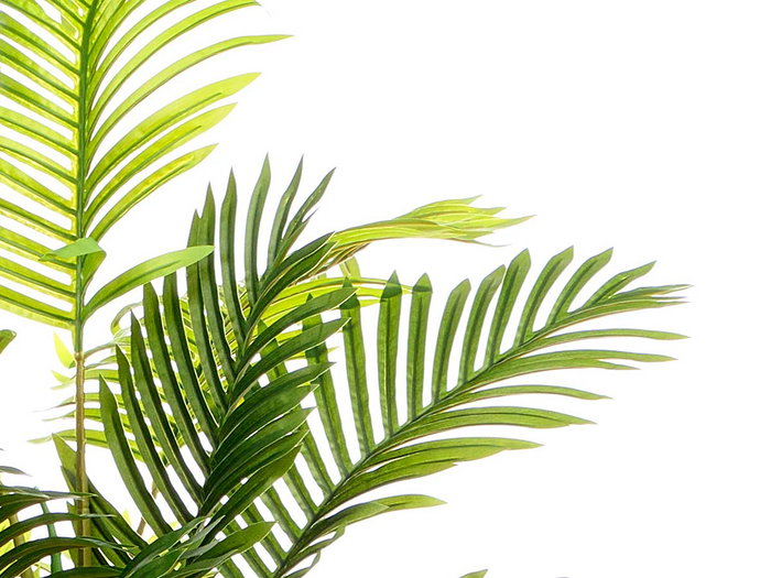 Ibergarden Maceta Palma Pequeña Plástico PP Verde/Marrón 34 x 34 x 1.4 cm (Set de 2)