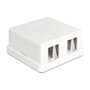 DeLOCK Keystone Leergehäuse 2 Port 86207 Blanco