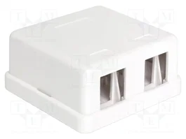DeLOCK 86207 Keystone Leergehäuse 2 Port Blanco