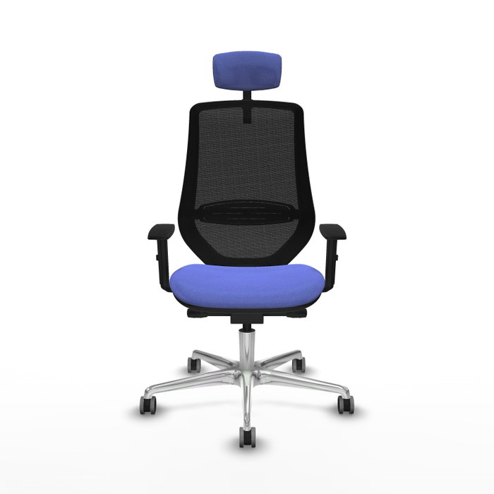 PIQUERAS Y CRESPO Silla de oficina Mardos con mecanismo Sincro/Traslack, Azul claro y Negro PIQUERAS Y CRESPO Silla de oficina Mardos con mecanismo Sincro/Traslack, Azul claro y Negro