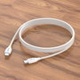 AVANT CONNECT Cable USB Tipo C a Tipo C, Carga Rápida 3A, 60W PD para Cargador Móvil, Tableta, Laptop