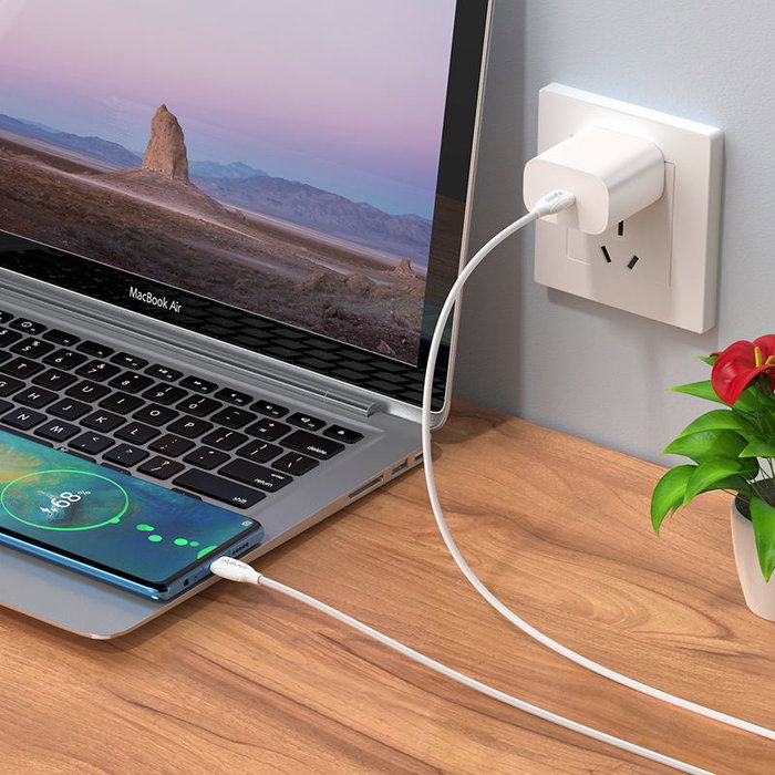 AVANT CONNECT Cable USB Tipo C a Tipo C, Carga Rápida 3A, 60W PD para Cargador Móvil, Tableta, Laptop
