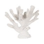 Ixia Figura Coral Blanco Resina Decoración 35 X 20 X 30 cm