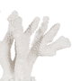 Ixia Figura Coral Blanco Resina Decoración 35 X 20 X 30 cm