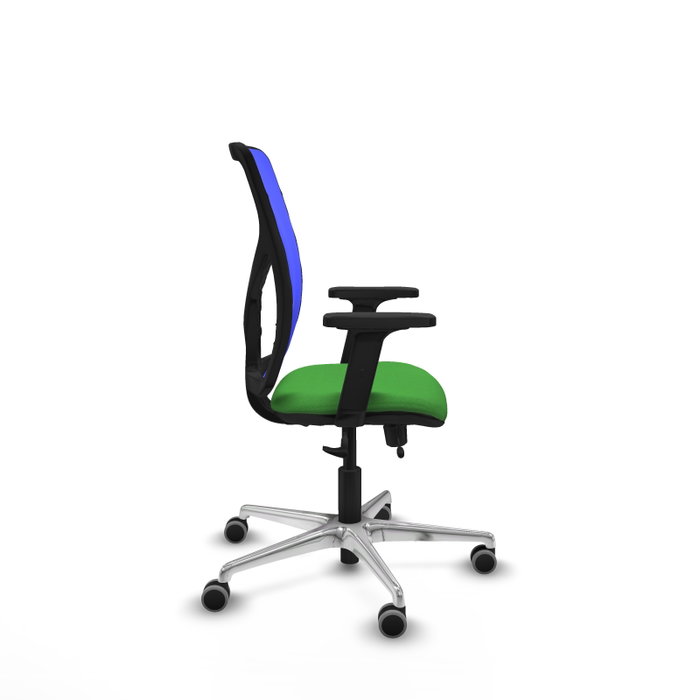 PIQUERAS Y CRESPO Silla de oficina Motilla con mecanismo Sincro/Traslack, tela verde y malla azul PIQUERAS Y CRESPO Silla de oficina Motilla con mecanismo Sincro/Traslack, tela verde y malla azul