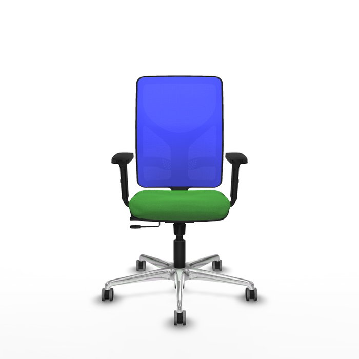 PIQUERAS Y CRESPO Silla de oficina Motilla con mecanismo Sincro/Traslack, tela verde y malla azul PIQUERAS Y CRESPO Silla de oficina Motilla con mecanismo Sincro/Traslack, tela verde y malla azul