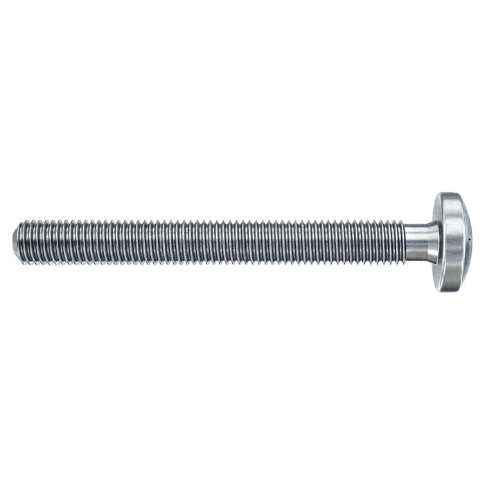 Fischer DuoHM 6x55 S TX con Tornillo Fischer DuoHM 6x55 S TX con Tornillo