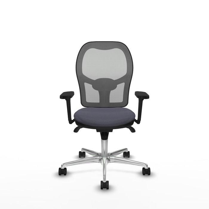 PIQUERAS Y CRESPO Silla de oficina Jorquera con mecanismo Sincro, Tela Gris oscuro y Malla Gris PIQUERAS Y CRESPO Silla de oficina Jorquera con mecanismo Sincro, Tela Gris oscuro y Malla Gris