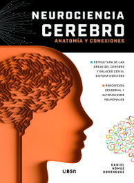 LIBSA, Neurociencia Cerebro Anatomía y Conexiones - LIBSA