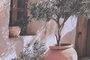 DKD Home Decor Cuadro Lienzo Jarrones Olivo 45x60 cm Surtido de 8 Piezas