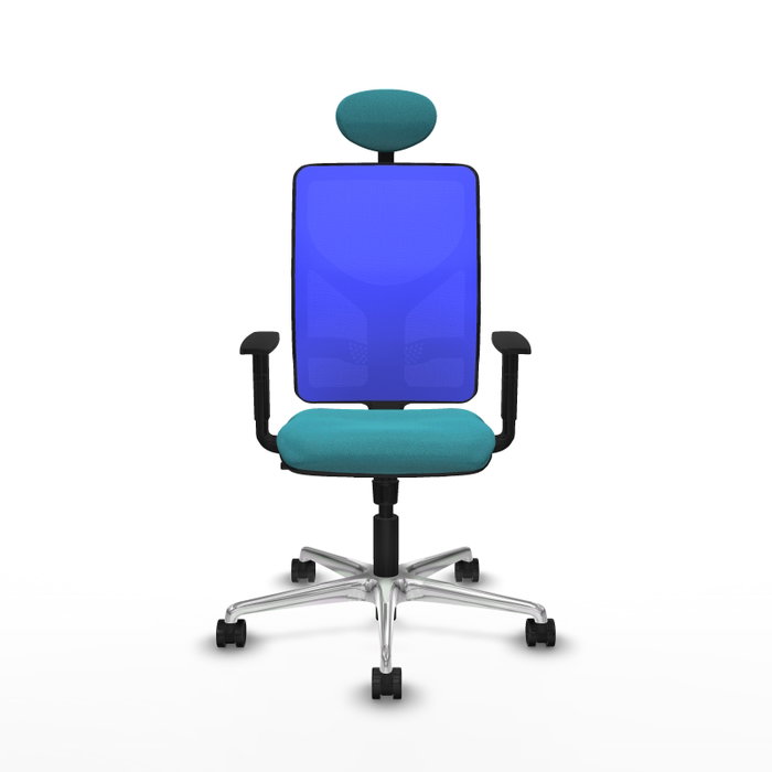 PIQUERAS Y CRESPO Silla de oficina Motilla con mecanismo Sincro, Turquesa y Azul PIQUERAS Y CRESPO Silla de oficina Motilla con mecanismo Sincro, Turquesa y Azul