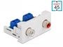DeLOCK Módulo Easy 45 2 x RCA hembra 22,5 x 45 mm Blanco
