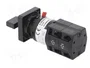 SCHNEIDER ELECTRIC Interruptor de leva de 4 posiciones 10A