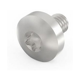 SCHROFF Tornillo Torx de disco LIKOSHR M4X6 PENTORX (100 unidades)