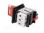 SCHNEIDER ELECTRIC Seccionador principal de seguridad TeSys VARIO 25A 3 Polos