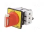 SCHNEIDER ELECTRIC Seccionador principal de seguridad TeSys VARIO 25A 3 Polos