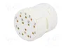 HARTING Conector M23 hembra de 12 pines industrial