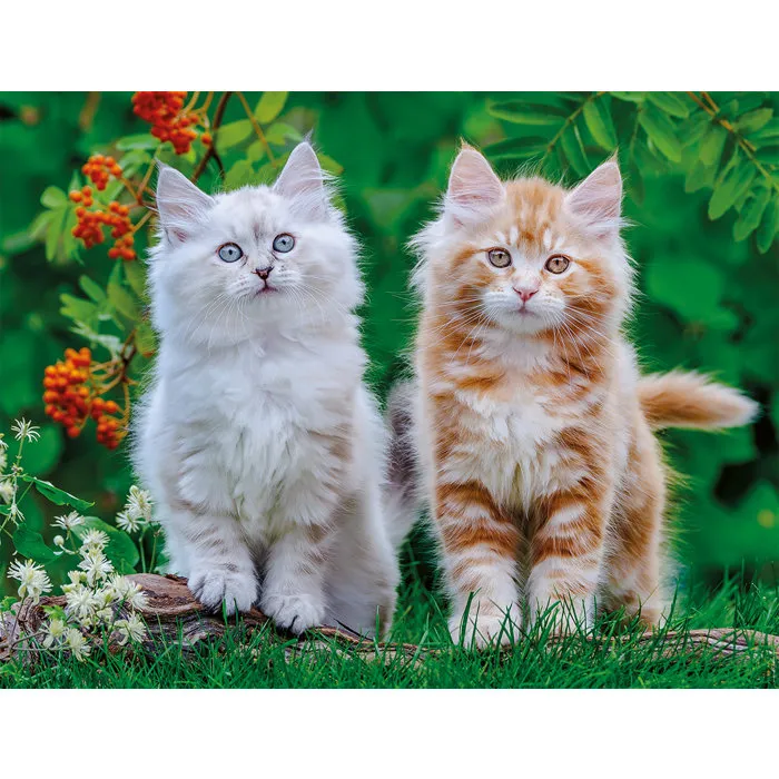 Nathan Puzzle Rompecabezas 2000 Piezas, Gatitos Siberianos, Colección Ternura, Edad Recomendada 14 Años, Ref: 12001868 Nathan Puzzle Rompecabezas 2000 Piezas, Gatitos Siberianos, Colección Ternura, Edad Recomendada 14 Años, Ref: 12001868