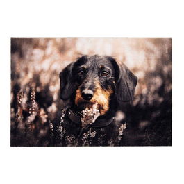 Tarres Felpudo de interior 100% poliamida Deco print diseño perro 40 x 60 cm