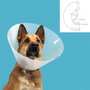 Collar Isabelino para Perros KVP Quick Fit Transparente (56-66 cm)