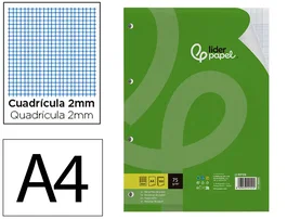 Liderpapel Recambio A4 100 Hojas 75g Milimetrado 2 mm Sin Margen 4 Taladros